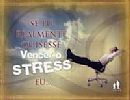 SE EU REALMENTE QUISESSE VENCER O STRESS